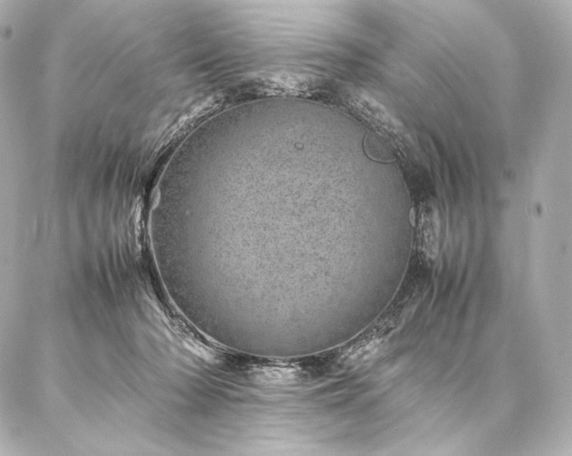 X0000086970318200704231522