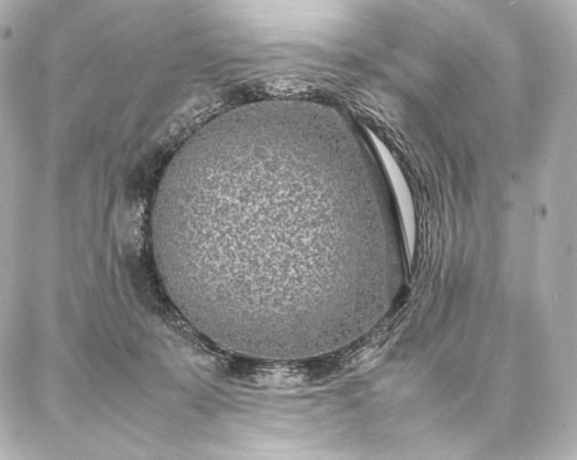 X0000086970319200704231522