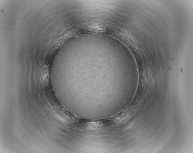 X0000086970320200704231522