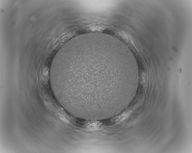 X0000086970321200704231522