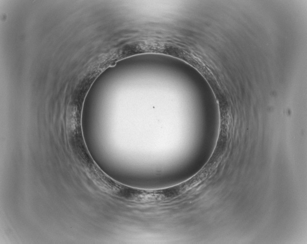 X0000086970323200704231522