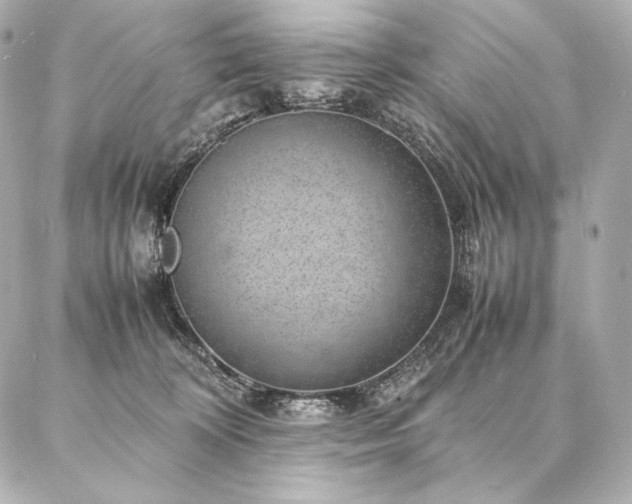 X0000086970324200704231522