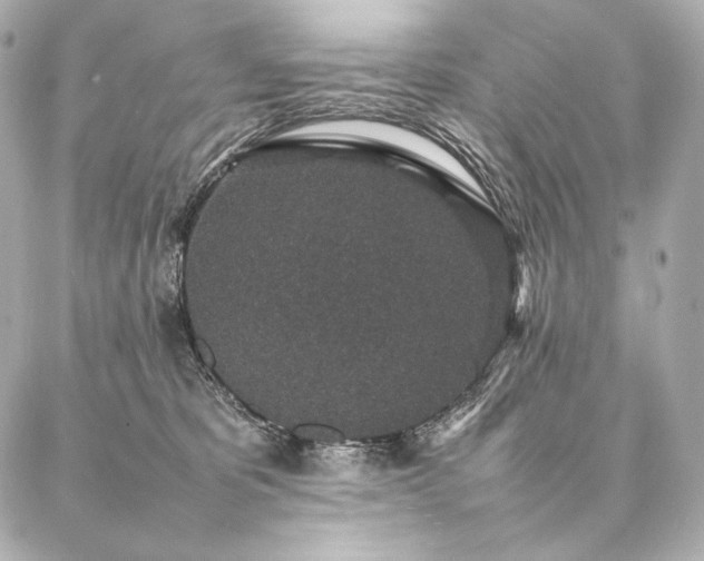 X0000086970325200704231522