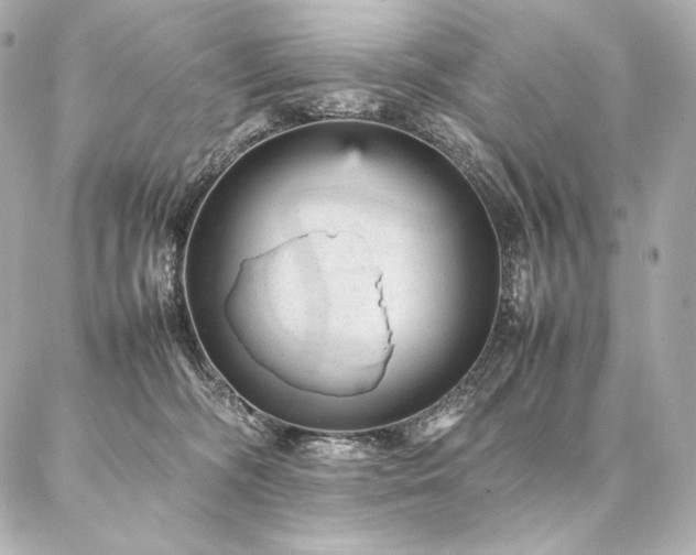 X0000086970326200704231522