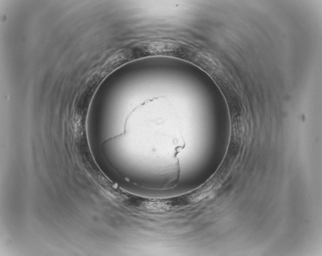 X0000086970327200704231522