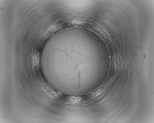 X0000086970328200704231522