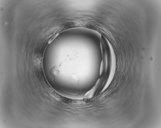 X0000086970329200704231522