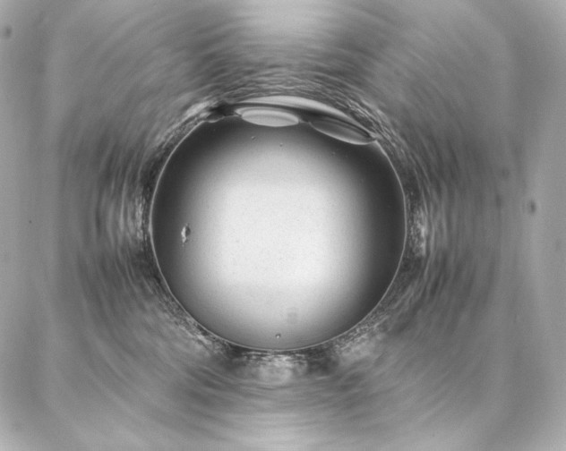 X0000086970330200704231522