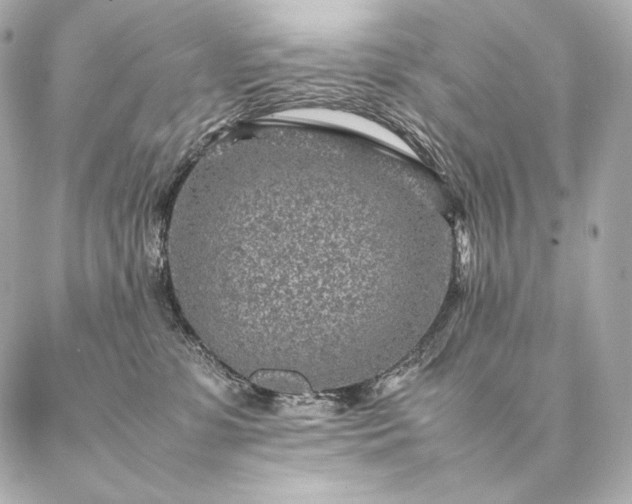 X0000086970331200704231522