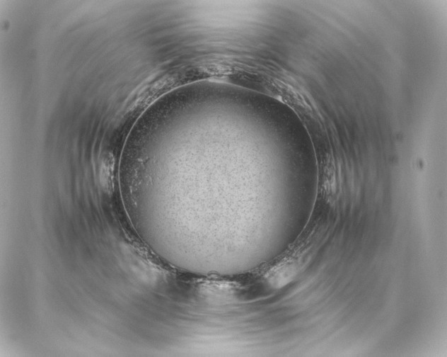 X0000086970332200704231522