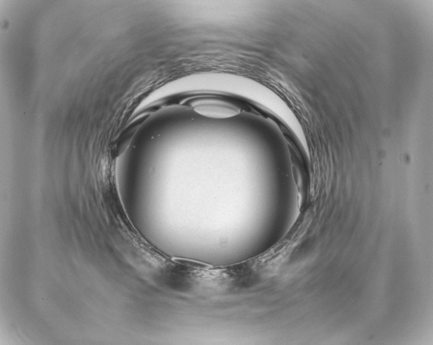 X0000086970333200704231522