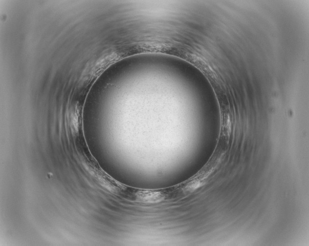 X0000086970334200704231522