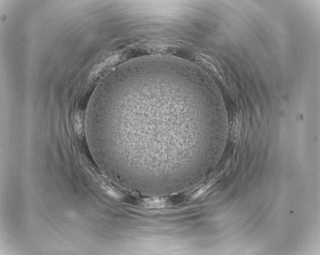 X0000086970335200704231522