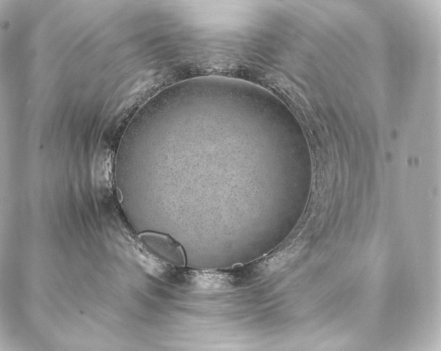 X0000086970336200704231522