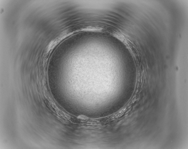 X0000086970337200704231521