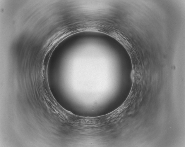 X0000086970338200704231521