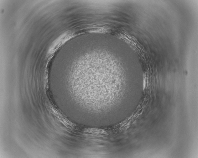 X0000086970339200704231521