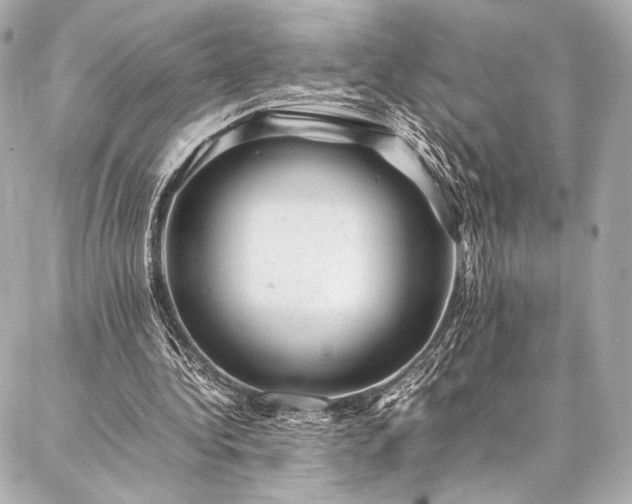 X0000086970340200704231521