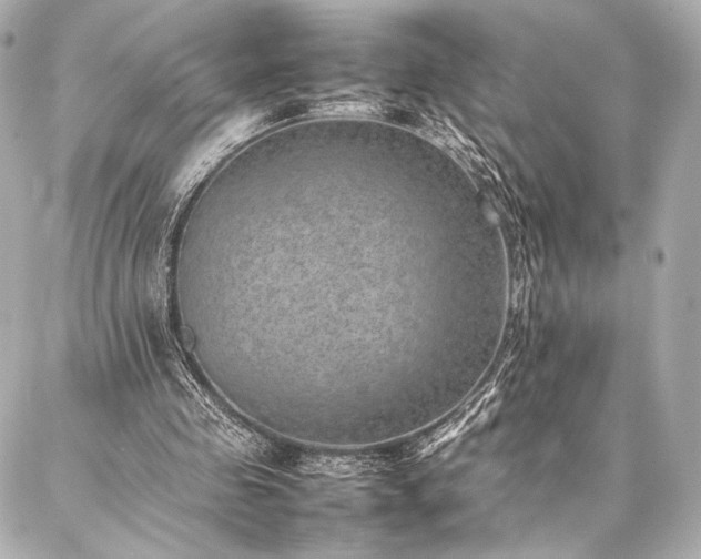 X0000086970341200704231521