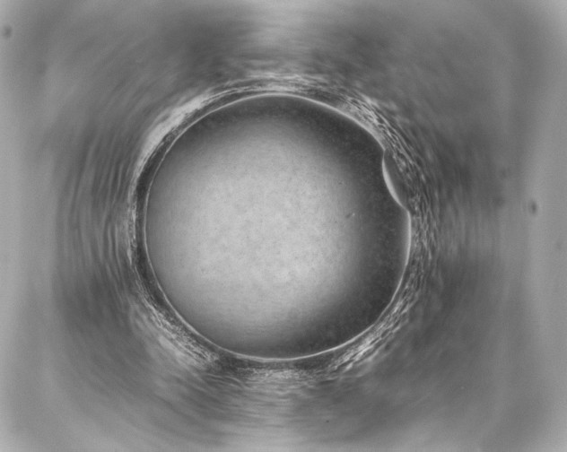 X0000086970342200704231521