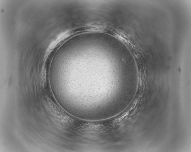 X0000086970343200704231521