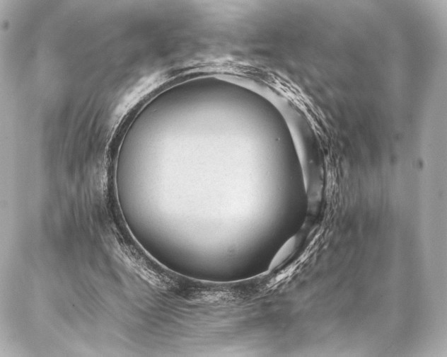 X0000086970344200704231521