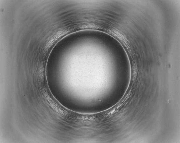 X0000086970345200704231521