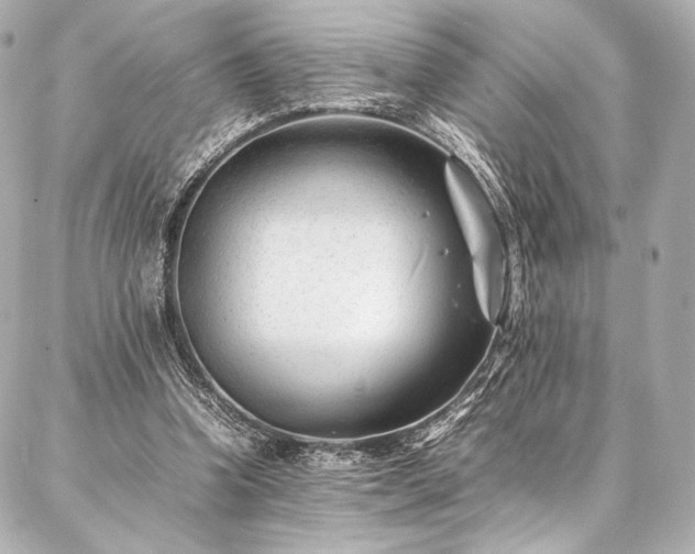 X0000086970346200704231521