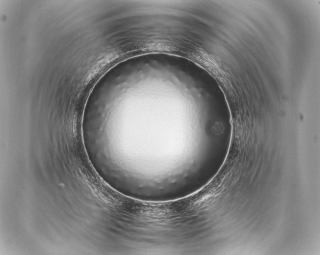 X0000086970347200704231521