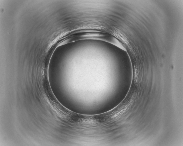 X0000086970348200704231521