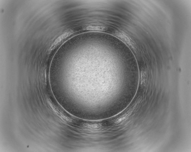 X0000086970349200704231521