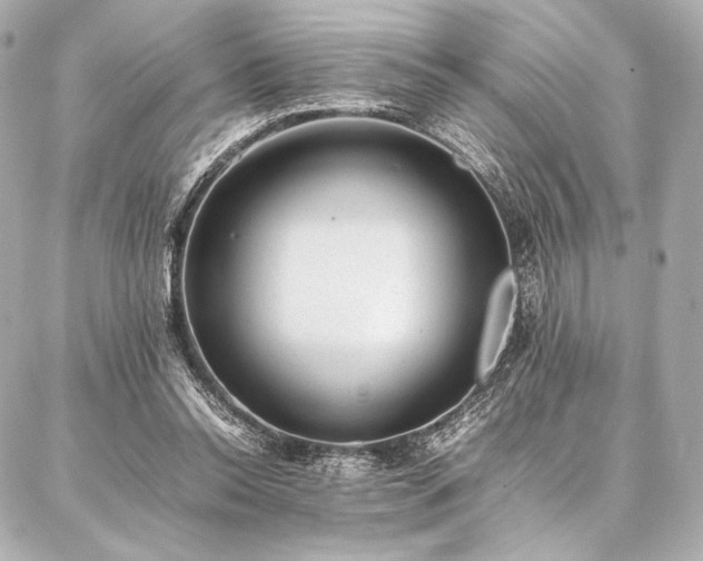 X0000086970350200704231521