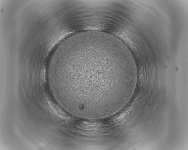 X0000086970351200704231521