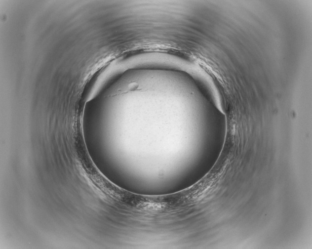 X0000086970352200704231521