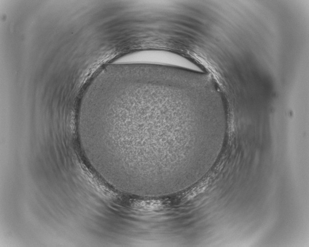 X0000086970353200704231521