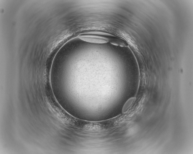 X0000086970354200704231521