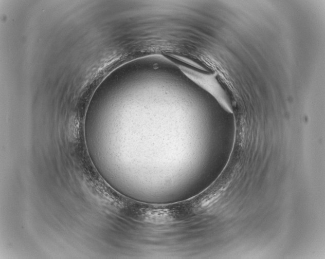 X0000086970355200704231521