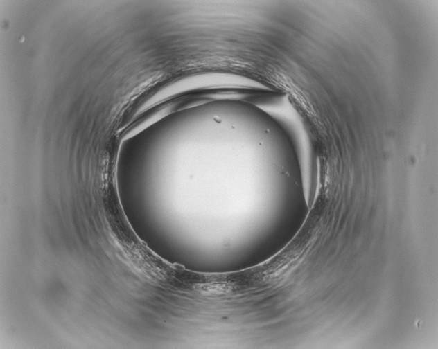 X0000086970356200704231521