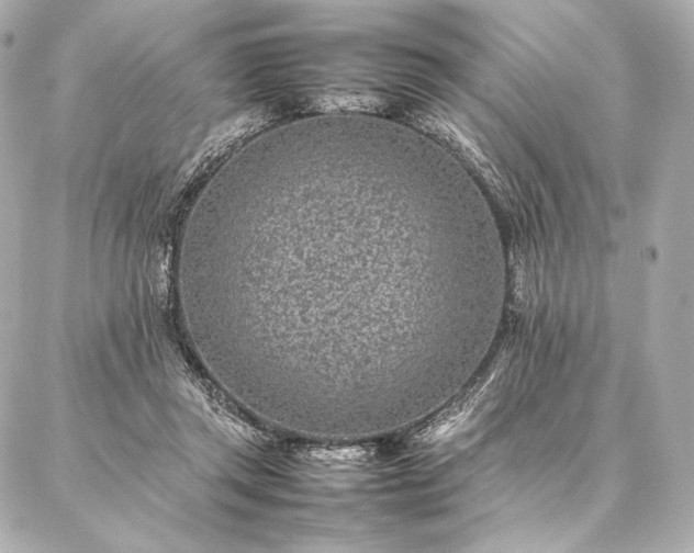 X0000086970357200704231521