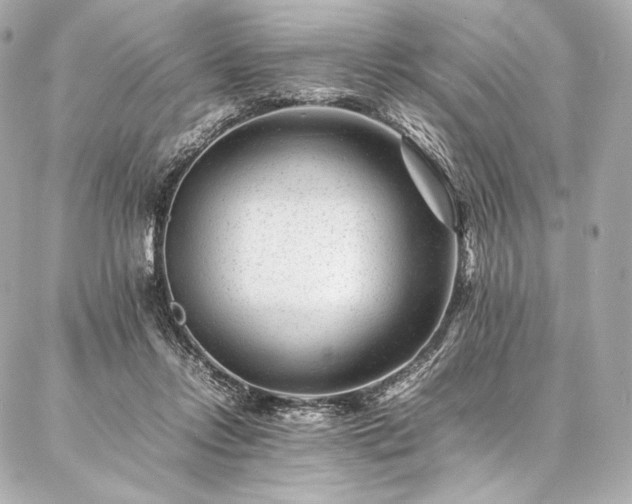 X0000086970358200704231521