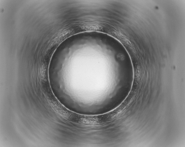 X0000086970359200704231521