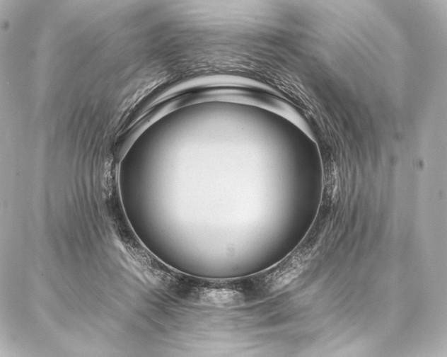 X0000086970360200704231521