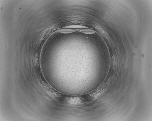 X0000086970361200704231521