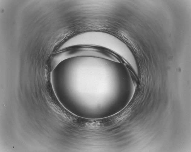 X0000086970362200704231521