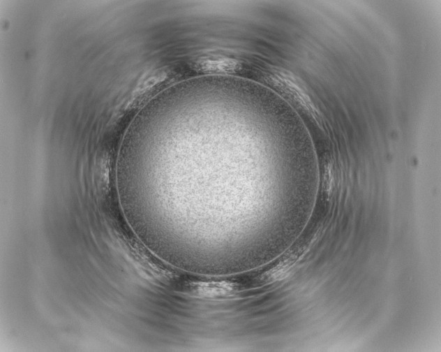 X0000086970363200704231521