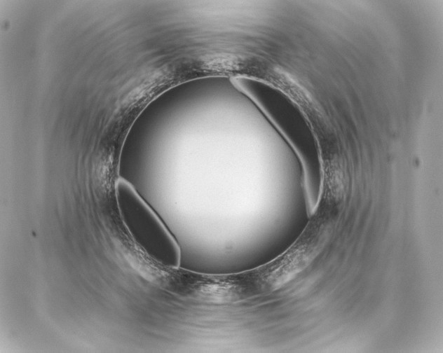 X0000086970364200704231521