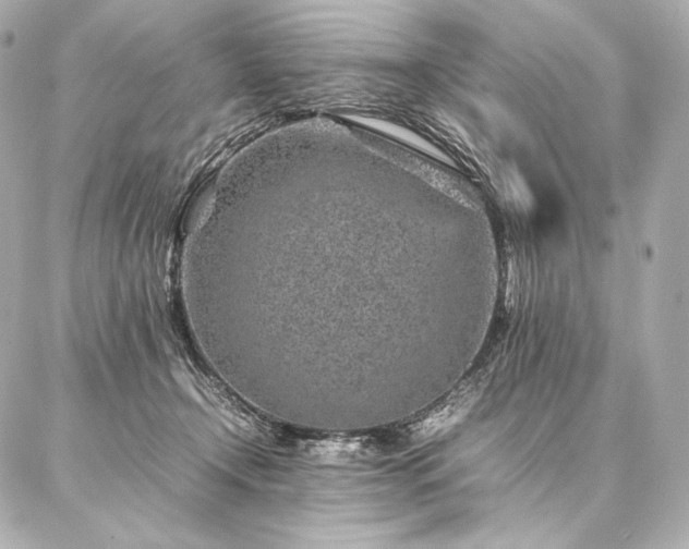 X0000086970366200704231521