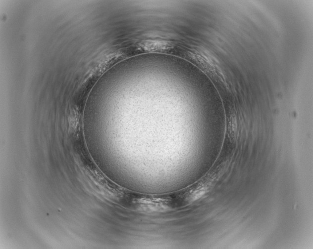 X0000086970367200704231521