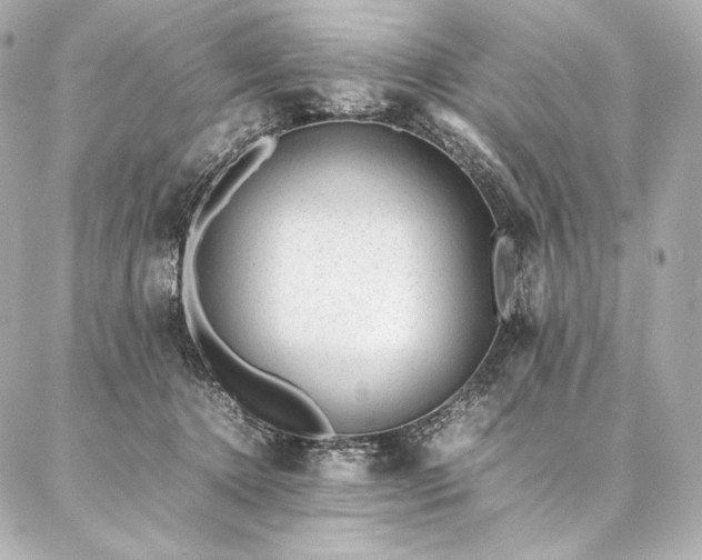 X0000086970368200704231521