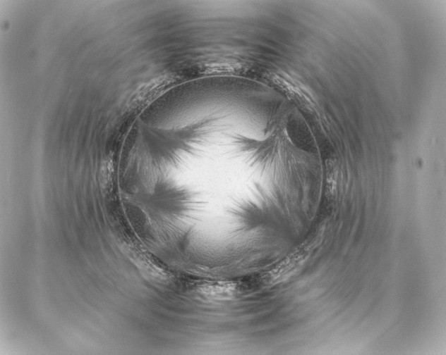 X0000086970369200704231521